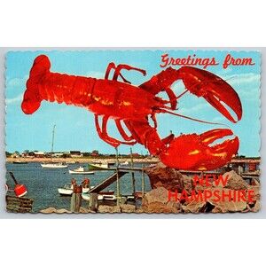 Vtg Greetings from New Hampshire Lobster Postcard Dexter Press Deckle Edge NH